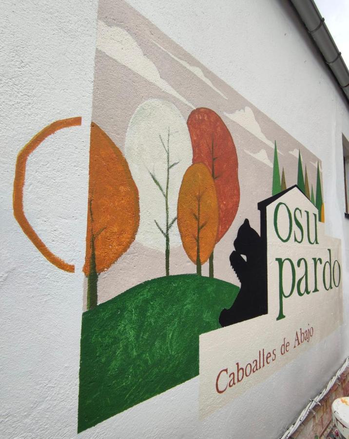 Vila Casa Osu Pardo Vut Caboalles de Abajo Exteriér fotografie